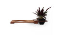 Load image into Gallery viewer, Cat Plant Stand for Wall wooden wall-mounted cat shelf with circular bed opening and planter on the right
