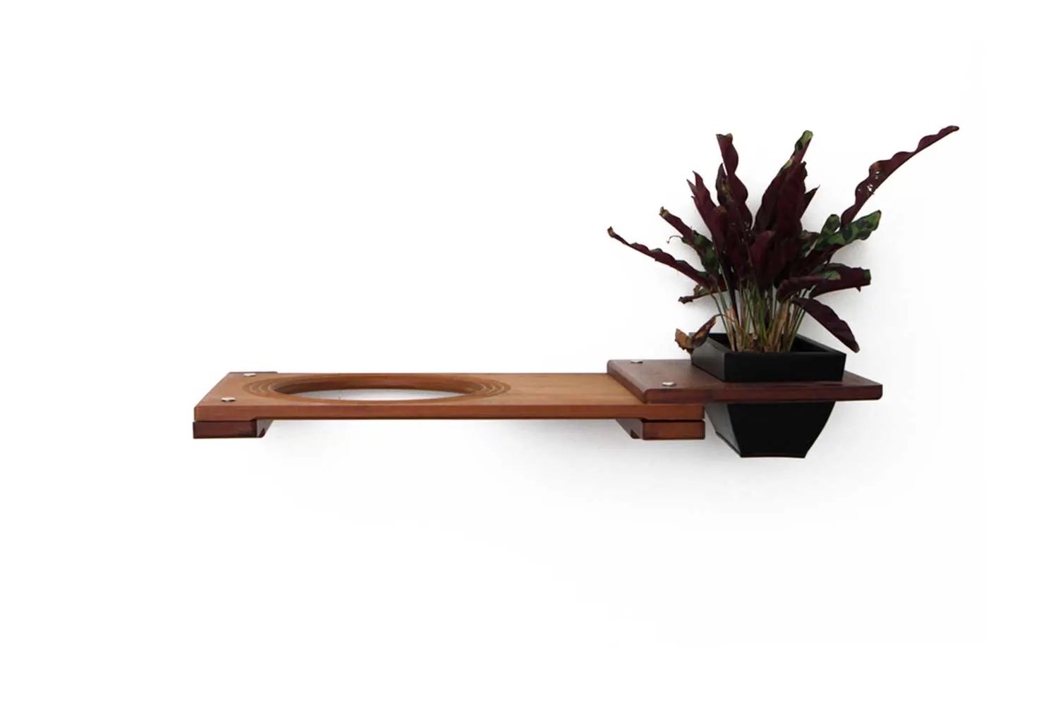 Cat Plant Stand for Wall wooden wall-mounted cat shelf with circular bed opening and planter on the right
