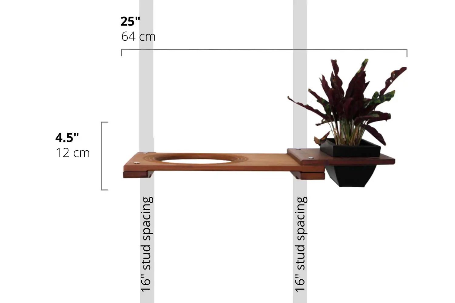 Cat Plant Stand for Wall by Catastrophic Creations; wooden cat shelf with circular hole and plant planter on right.