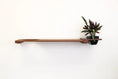 Load image into Gallery viewer, Cat Plant Stand for Wall, wooden cat shelf by Catastrophic Creations with planter on the end.
