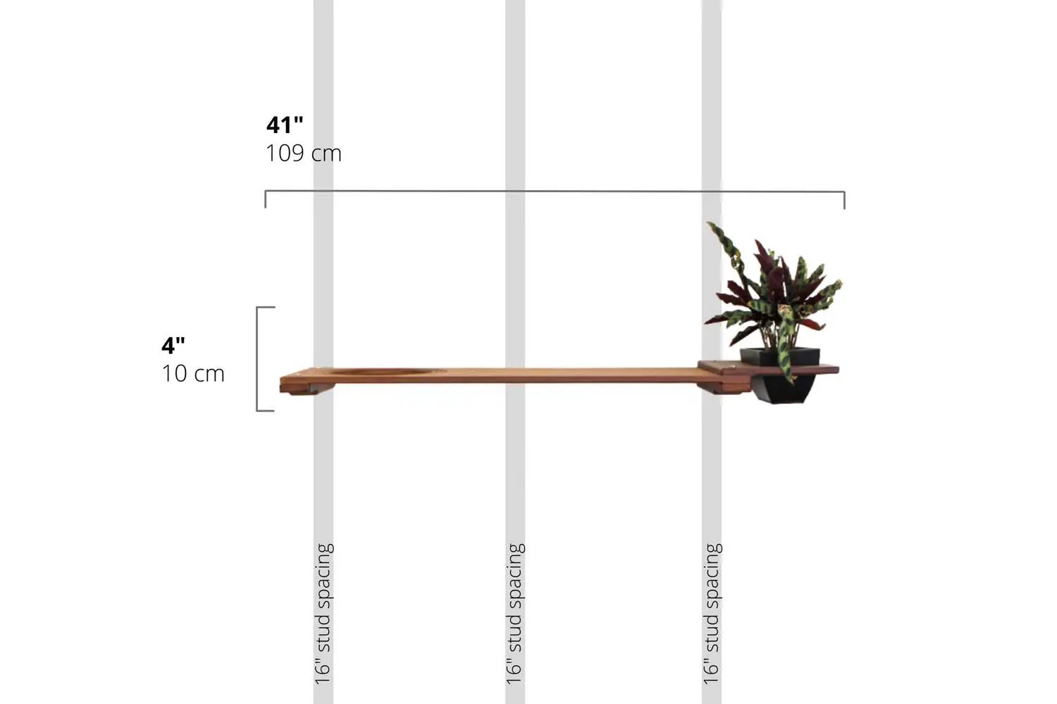Cat Plant Stand for Wall by Catastrophic Creations, wooden wall-mounted cat shelf with a potted plant