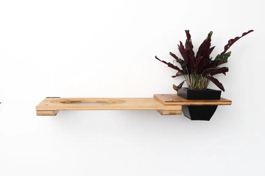 Cat Plant Stand for Wall with planter; natural wood shelf by Catastrophic Creations