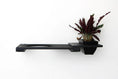 Load image into Gallery viewer, Cat Plant Stand for Wall by Catastrophic Creations; wall-mounted black metal cat shelf with planter
