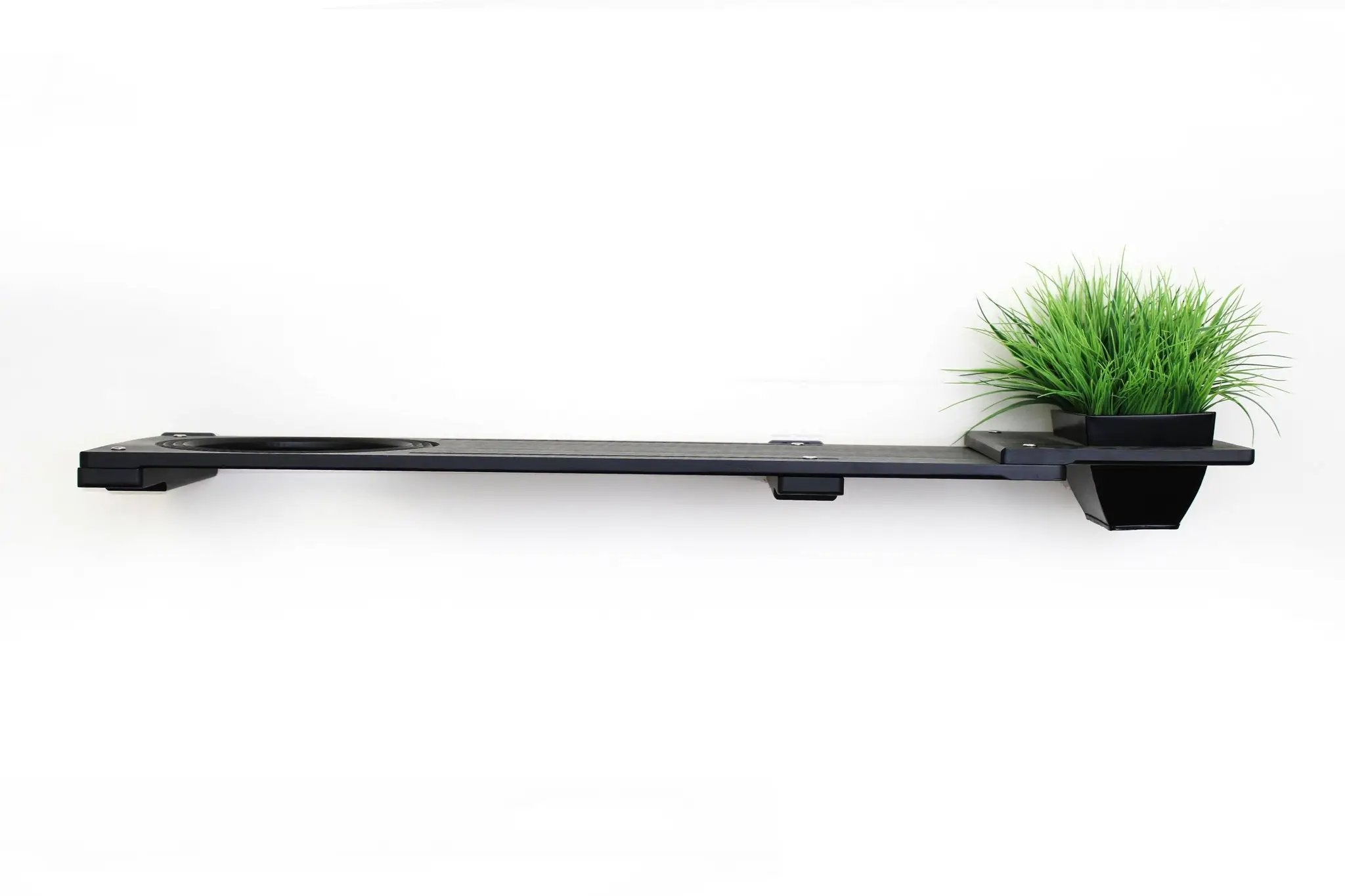 Cat Plant Stand for Wall by Catastrophic Creations, black metal cat shelf with a green potted plant.