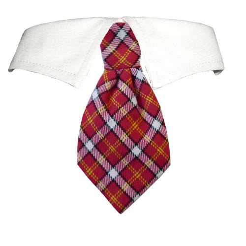 Richie Dress-Up Dog Shirt Collar with Tie