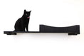 Load image into Gallery viewer, The Cat Nest Bed by Catastrophic Creations; black cat perched on a wall-mounted cat shelf
