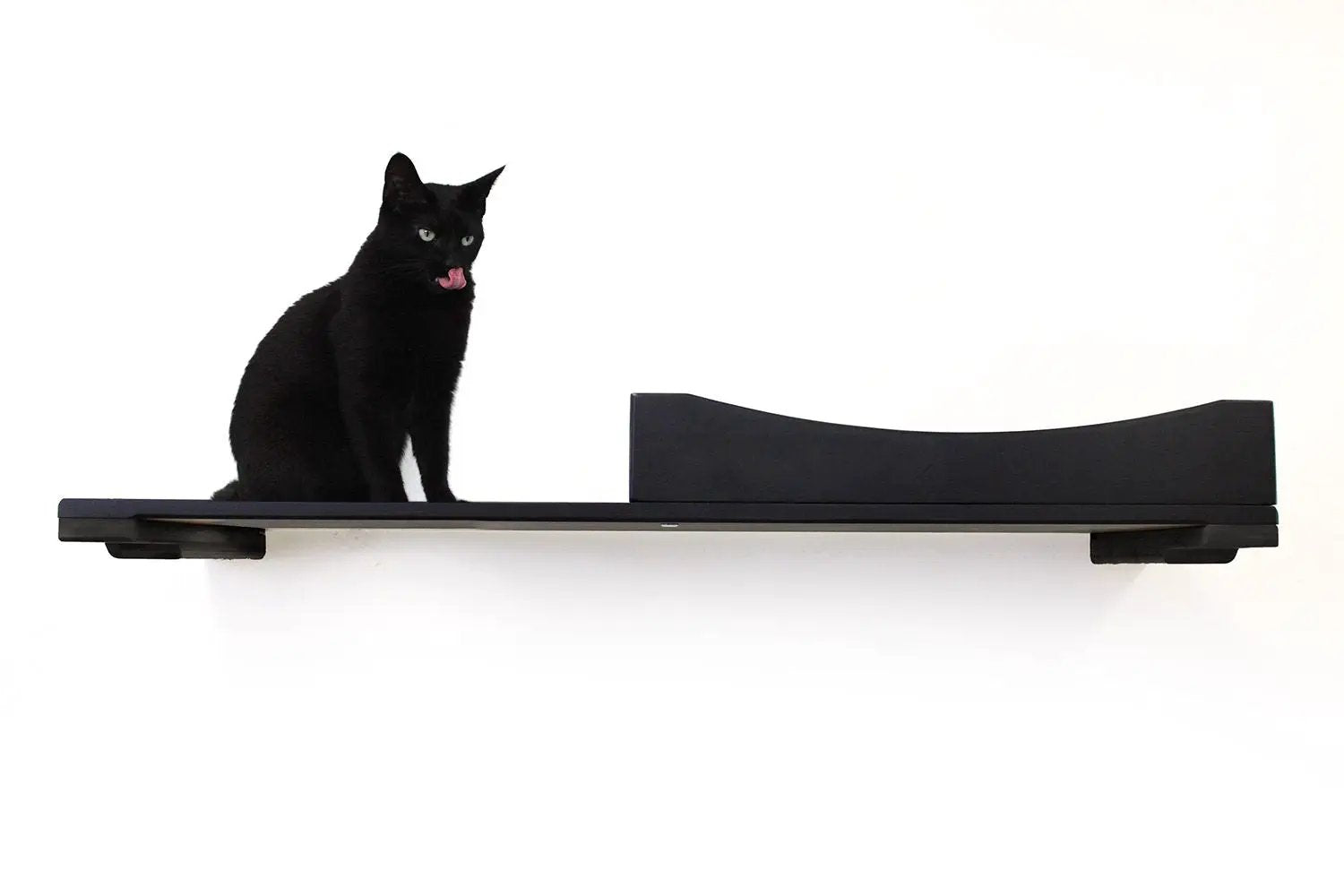 The Cat Nest Bed by Catastrophic Creations; black cat perched on a wall-mounted cat shelf