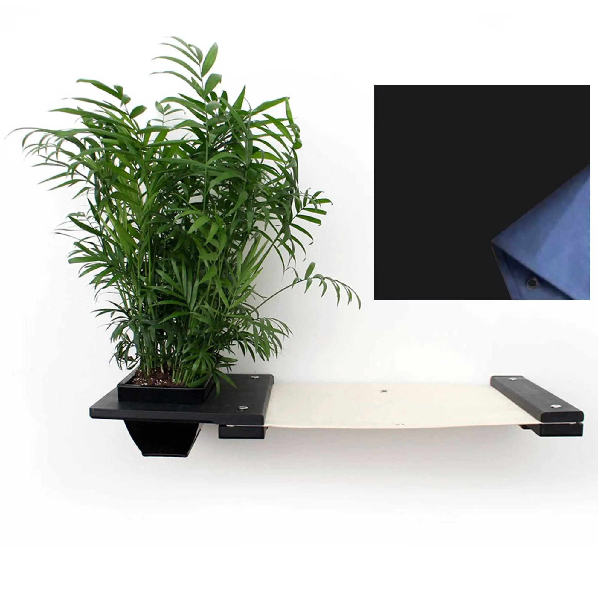 Cat Hammock Wall with Planter on a black wall shelf with a lush green plant