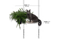 Load image into Gallery viewer, Cat Hammock Wall with Planter by Catastrophic Creations, gray cat on a wood planter shelf with greenery
