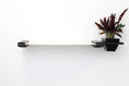 Load image into Gallery viewer, Cat Hammock Wall with Planter by Catastrophic Creations; light wood shelf with black brackets and planter.
