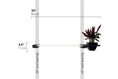 Load image into Gallery viewer, Cat Hammock Wall with Planter, beige wooden hammock mounted on wall with a black planter on the right.
