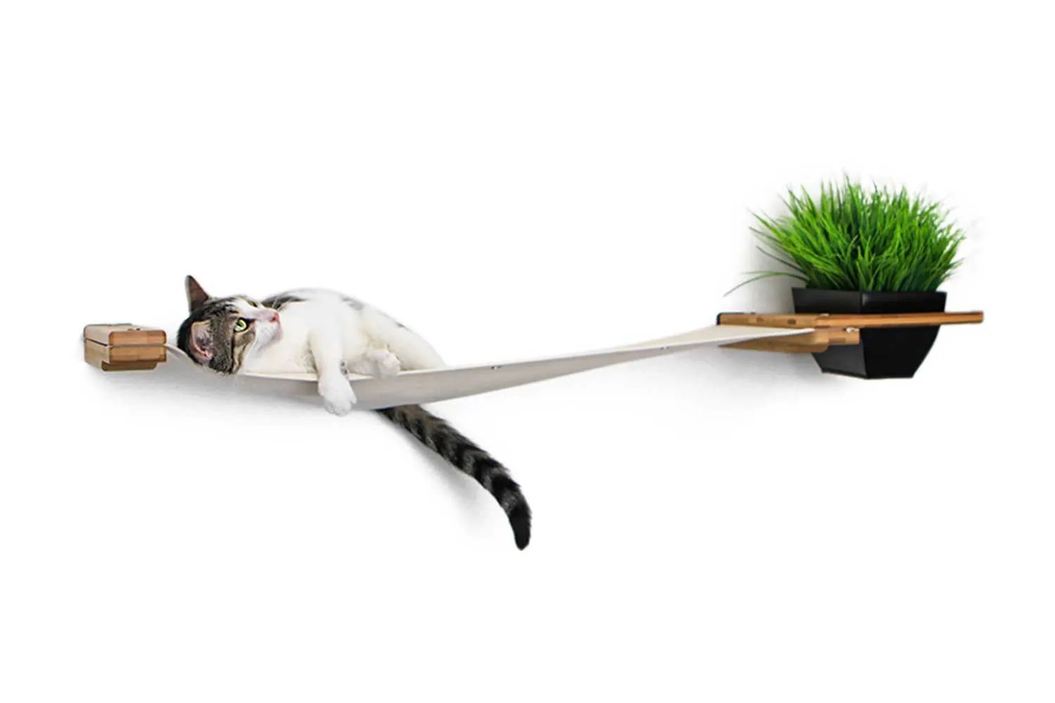Cat Hammock Wall with Planter by Catastrophic Creations; white fabric hammock, wooden arms, black planter with greenery.