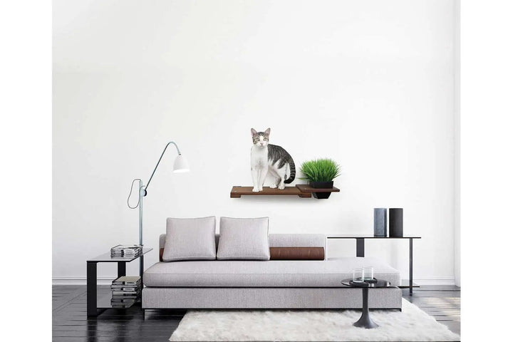 Cat Plant Stand for Wall by Catastrophic Creations; wooden wall shelf with a cat and a potted plant