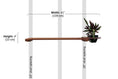 Load image into Gallery viewer, Cat Plant Stand for Wall by Catastrophic Creations; brown wood wall-mounted cat shelves with plant planter
