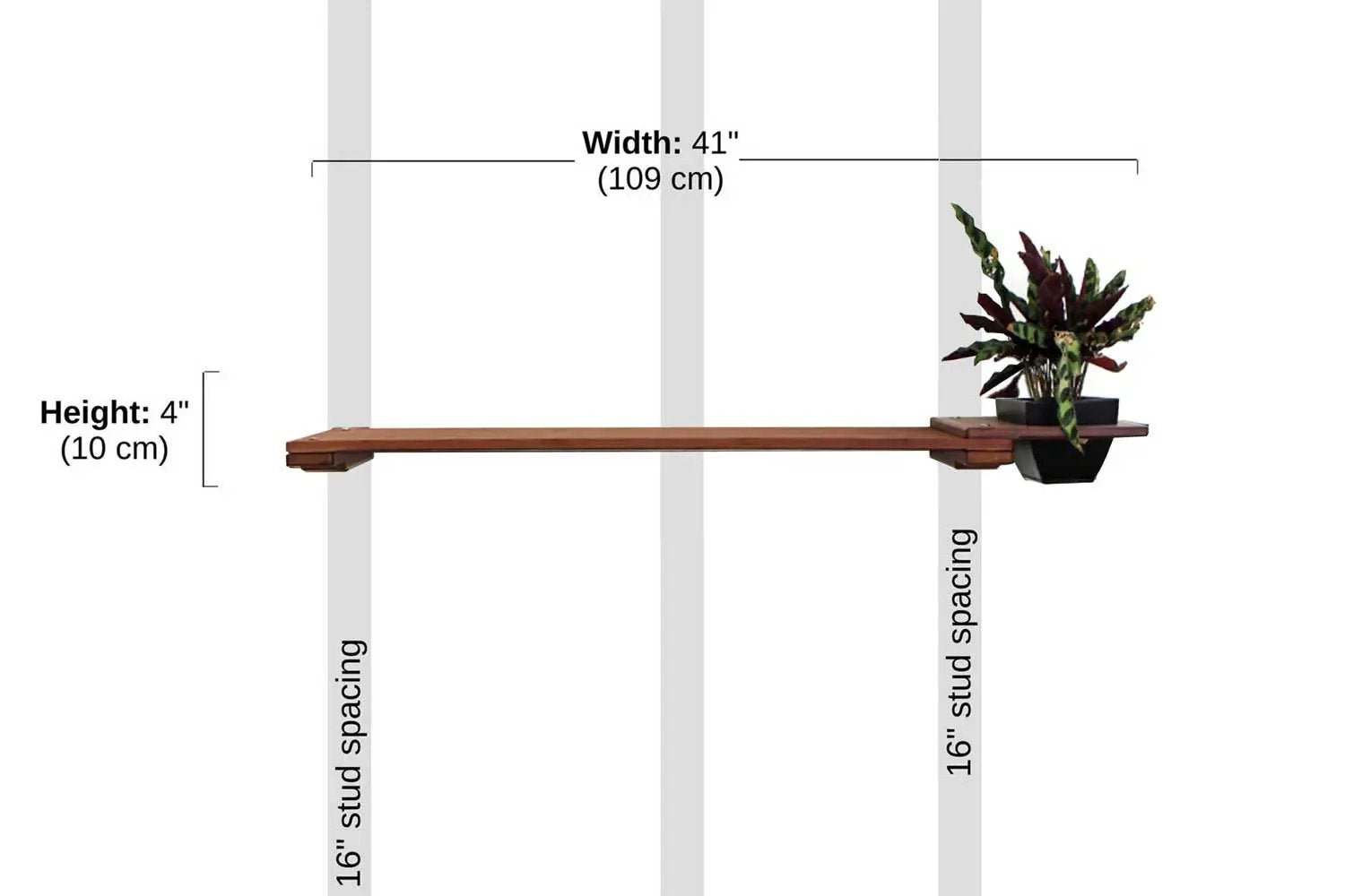 Cat Plant Stand for Wall by Catastrophic Creations; brown wood wall-mounted cat shelves with plant planter