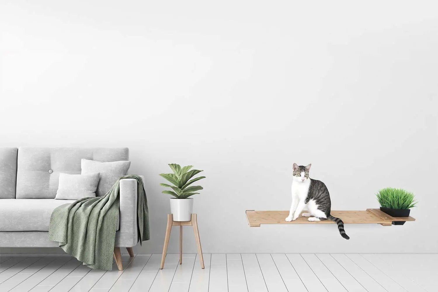 Cat Plant Stand for Wall wooden cat perch; cat sits on the shelf with a small plant at the end.