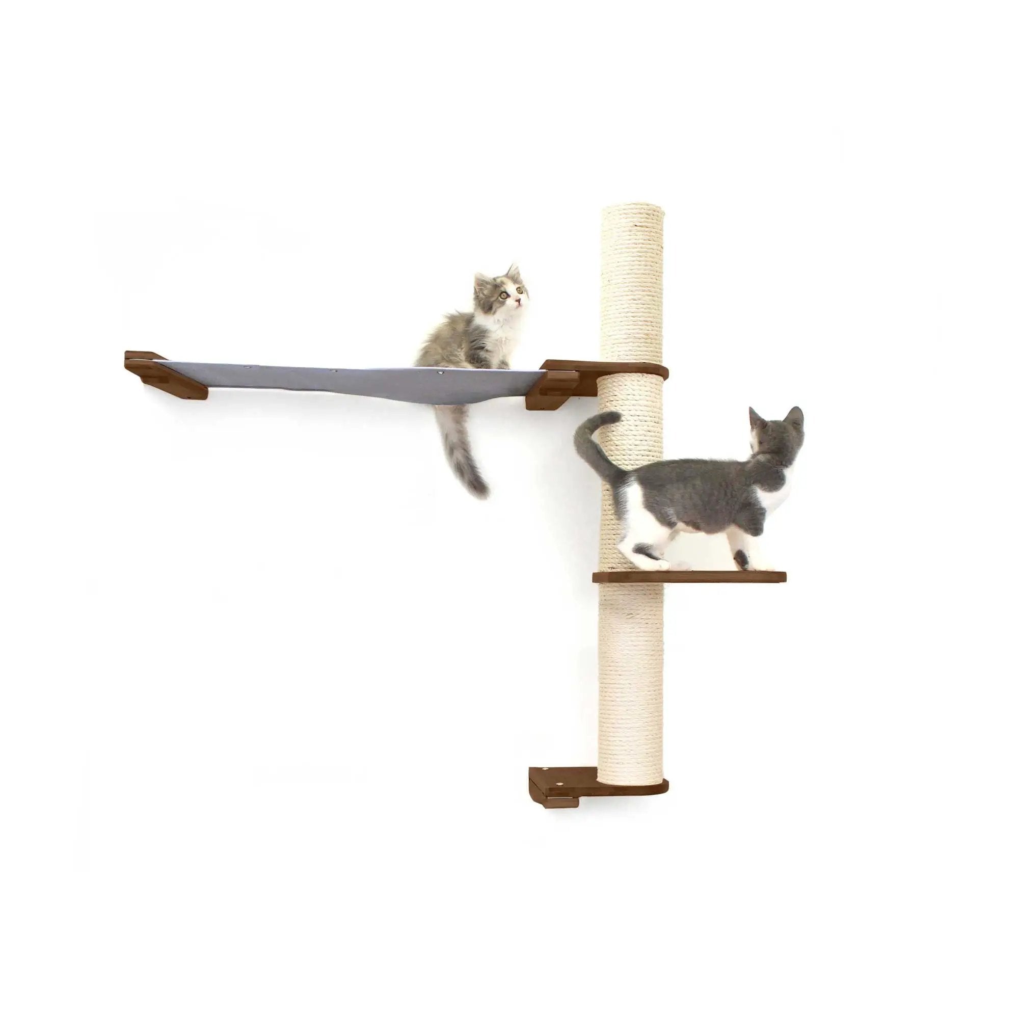The Crow's Nest wall cat condo with hammock; sisal rope post, wood shelves, by Catastrophic Creations; 2 cats.