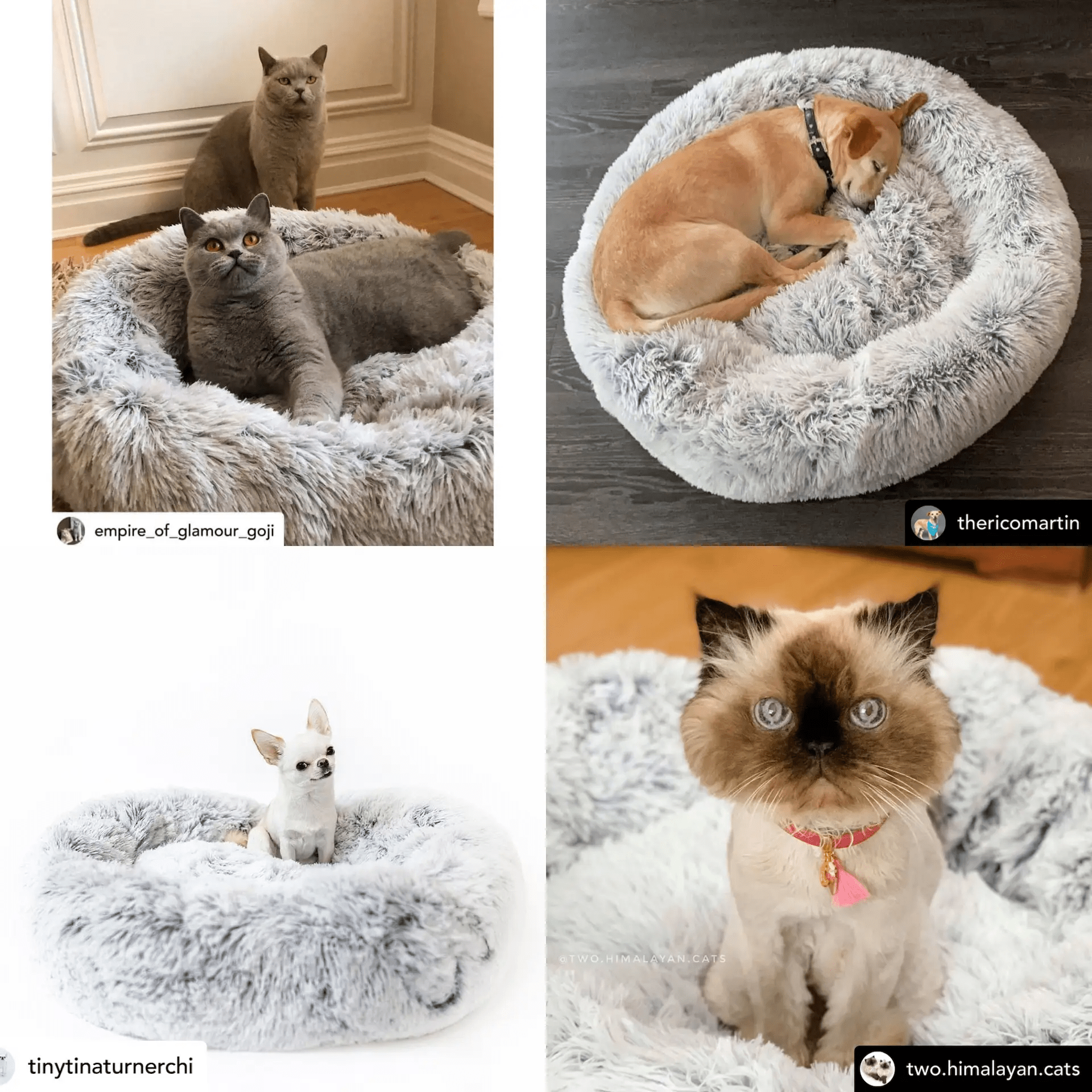 Mr. Peanut's OrthoPlush Pet Bed, 28in Snowflake White Two-Tone pillow bed with four pets lounging