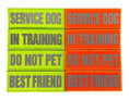 Gallery viewerに画像を読み込む, REFLECTIVE HIGH VISIBILITY NEON Tag Patch by kiloninerpets
