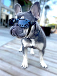 Bild in Galerie-Betrachter laden, Eye Defenders Pet Safety Goggles For Small And Medium Dogs Or Cats With Uv400 Lenses And Soft Touch Rubber Shields by kiloninerpets
