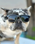 Bild in Galerie-Betrachter laden, Eye Defenders Pet Safety Goggles For Small And Medium Dogs Or Cats With Uv400 Lenses And Soft Touch Rubber Shields by kiloninerpets
