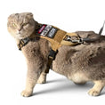 Carica l'immagine nel visualizzatore della galleria, K9R M1 Lightspeed Cat Harness With Minimalist Chest Plate Made USA by kiloninerpets
