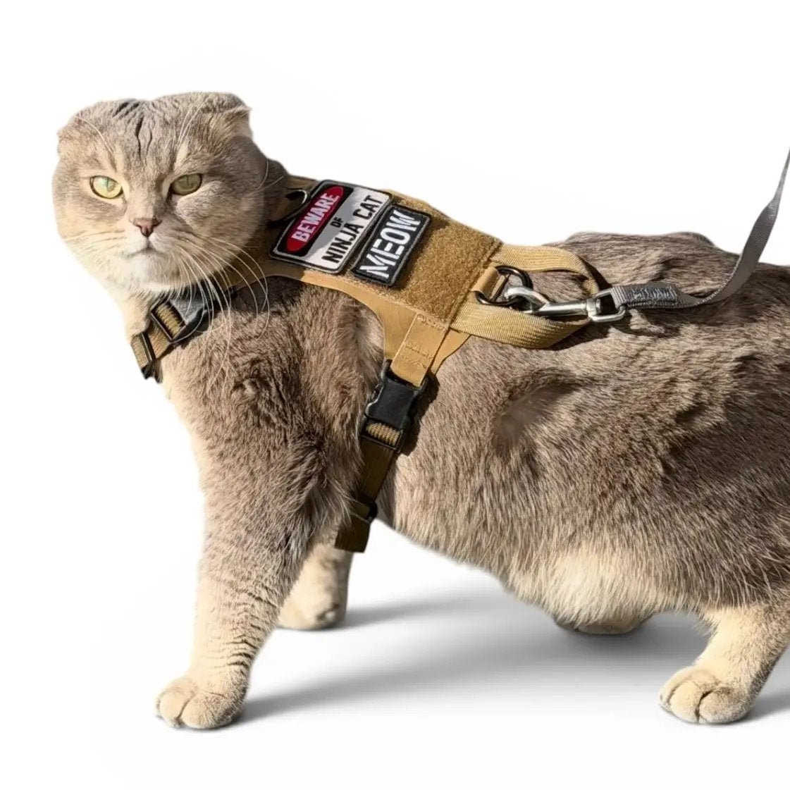 K9R M1 Lightspeed Cat Harness With Minimalist Chest Plate Made USA by kiloninerpets