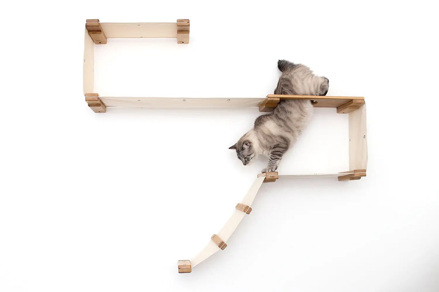 The Play cat play wall system by Catastrophic Creations; wooden wall-mounted cat condo.