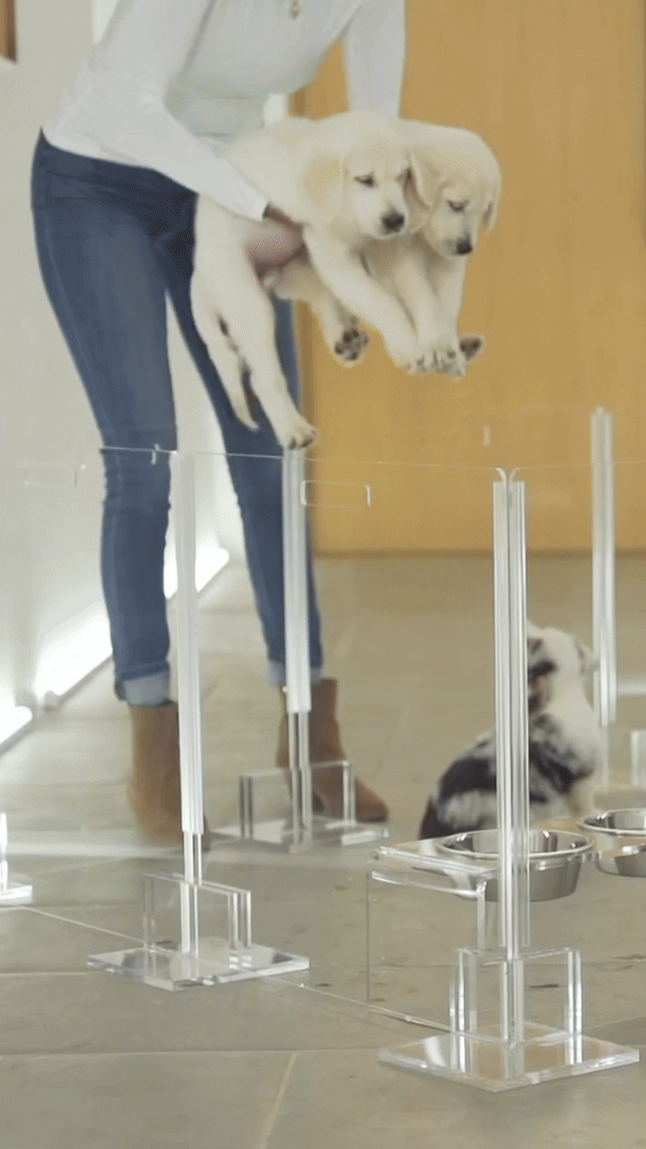 Hiddin Clear Acrylic Pet Playpen with Door – 24 in High