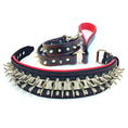 Gallery viewerに画像を読み込む, Set collar and leash. spikes & stainless steel, 2.8 inch wide. Made in Europe! - Pet Collars & Harnesses from Bestia Dog Gear
