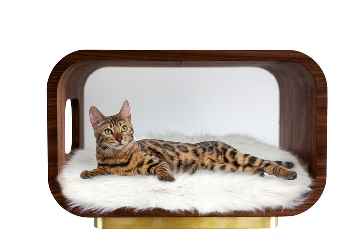 LUNA Modern Cat Bed &amp; Side Table, Walnut