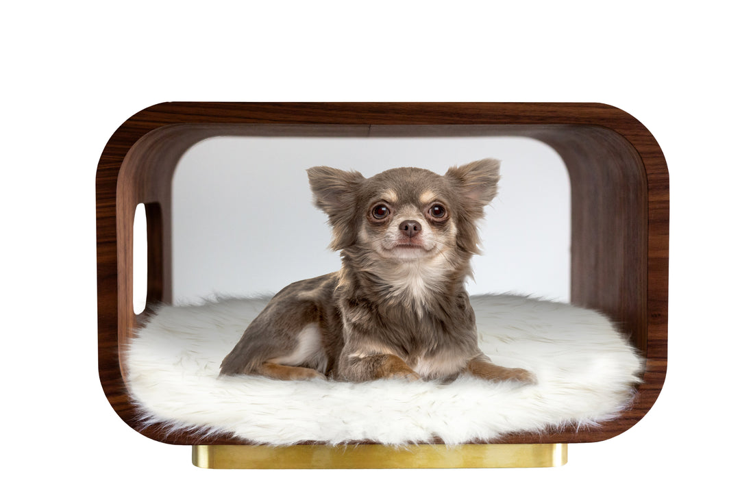 LUNA Modern Cat Bed &amp; Side Table, Walnut