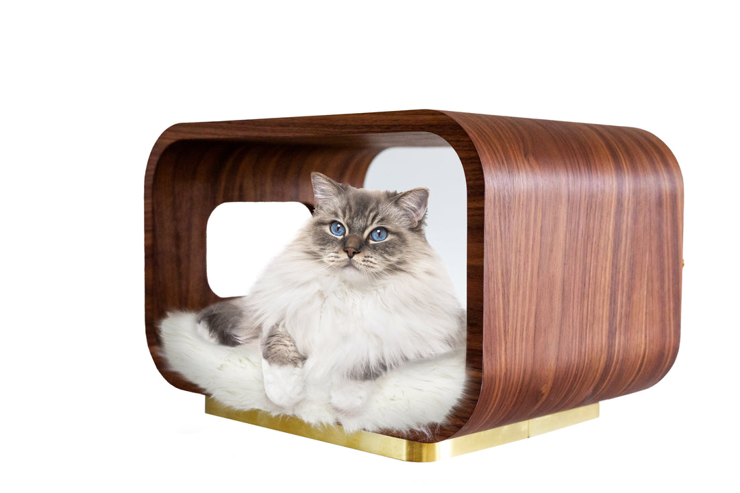 LUNA Modern Cat Bed &amp; Side Table, Walnut