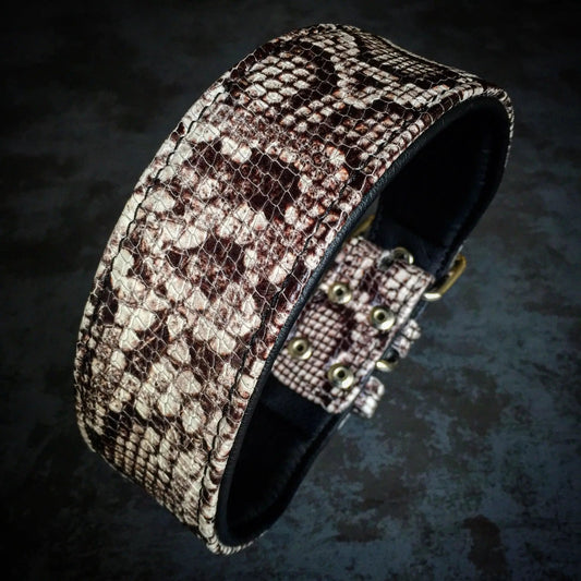The ''Rock Python'' collar - Pet Collars & Harnesses from Bestia Dog Gear