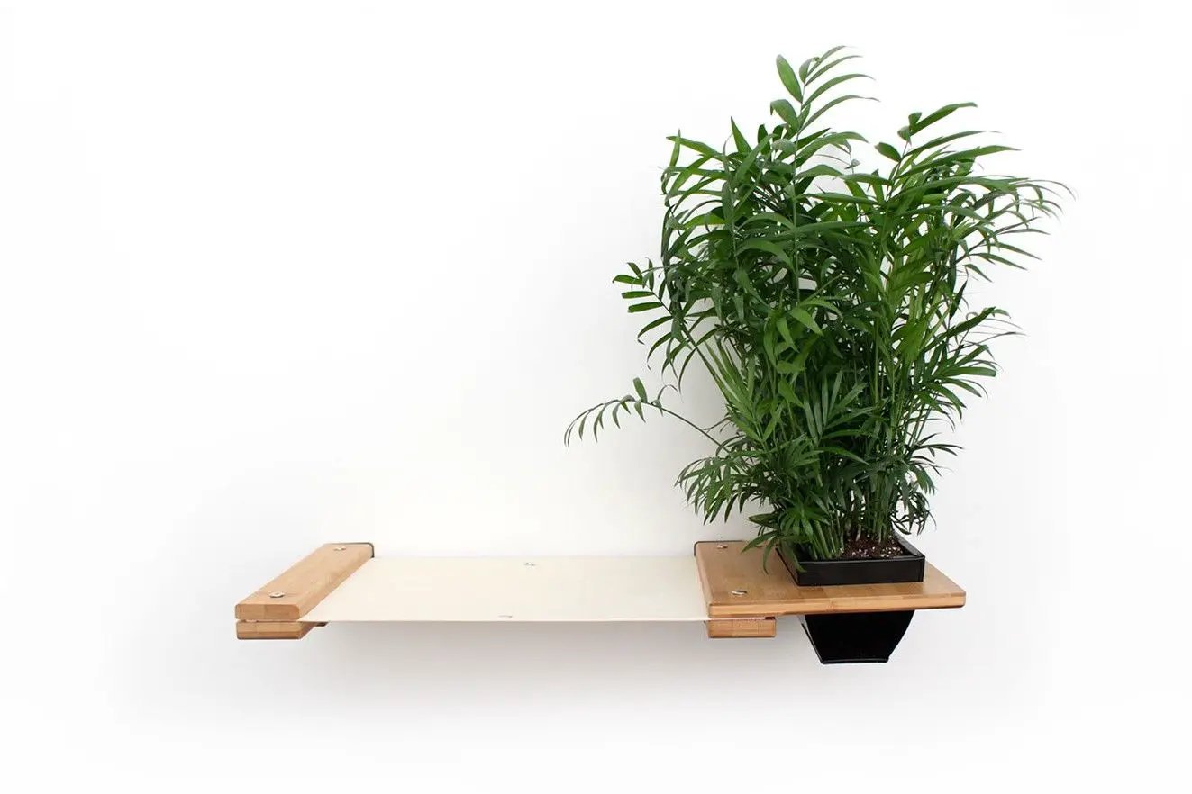Cat Hammock Wall with Planter on wooden shelf with lush green plant