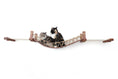 Charger l'image dans la visionneuse de la galerie, Double Cat Hammock and Climbing Bridge Combo, Catastrophic Creations, rope hammock with wood supports, two cats.
