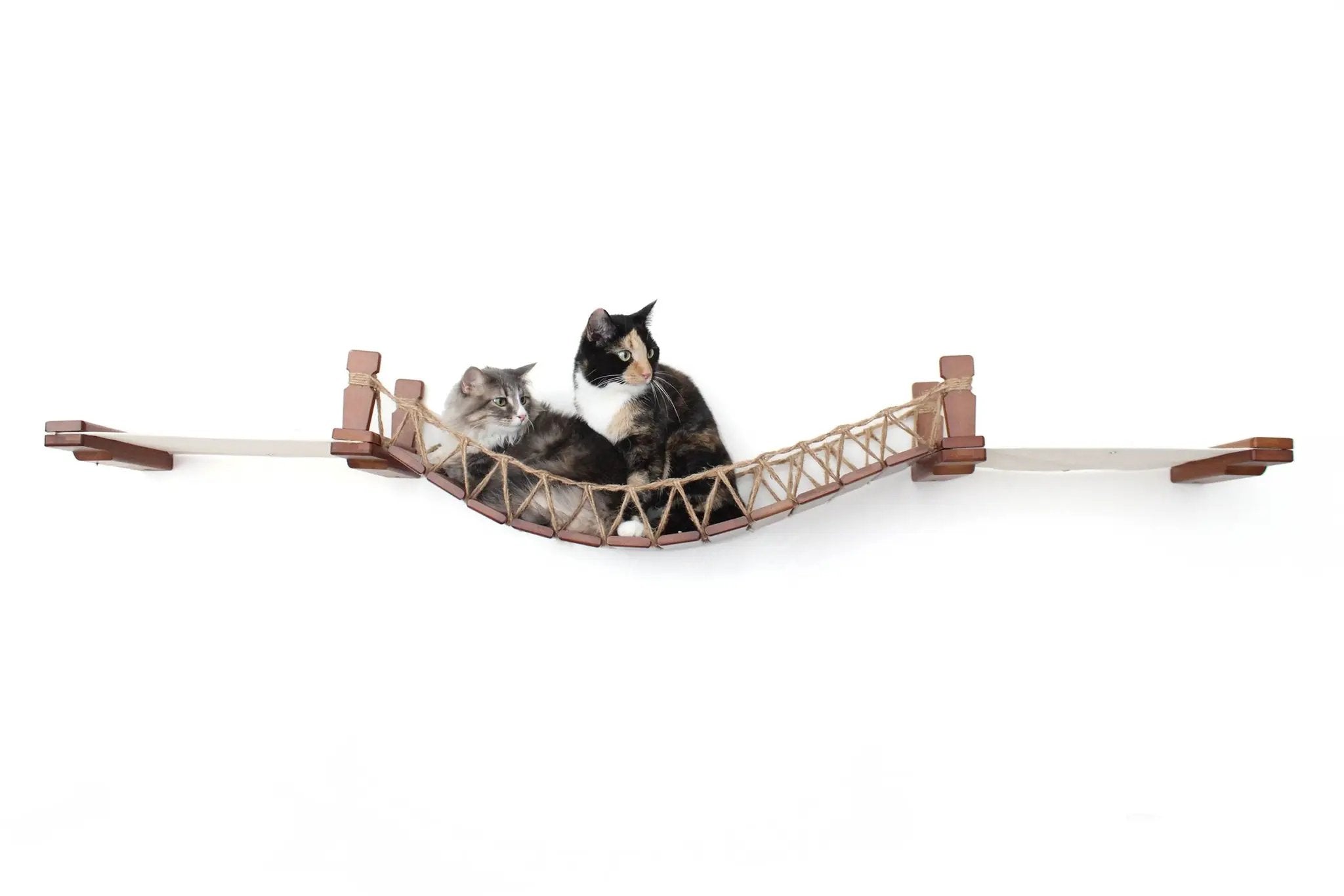 Double Cat Hammock and Climbing Bridge Combo, Catastrophic Creations, rope hammock with wood supports, two cats.