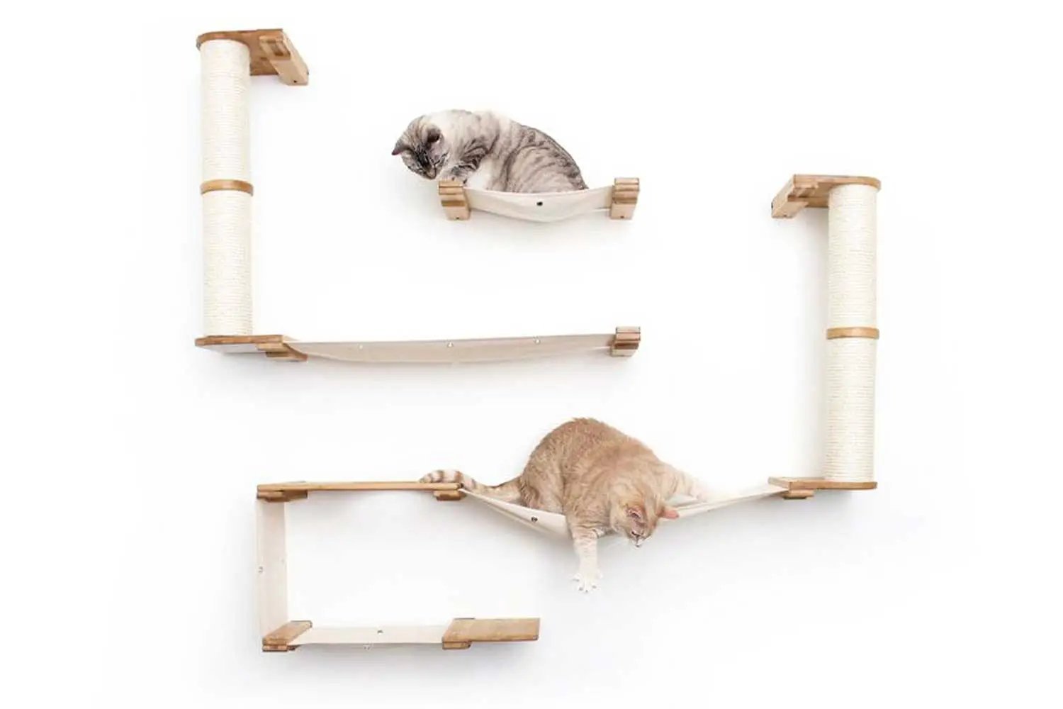 The Roman wall-mounted cat condo by Catastrophic Creations; natural wood with rope-wrapped posts and two hammocks, 2 cats.