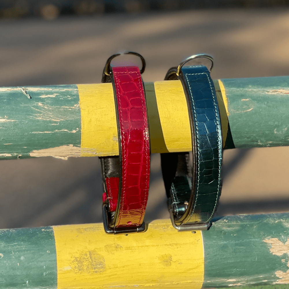 Halter Ego Breanna Red Croc Leather Dog Collar
