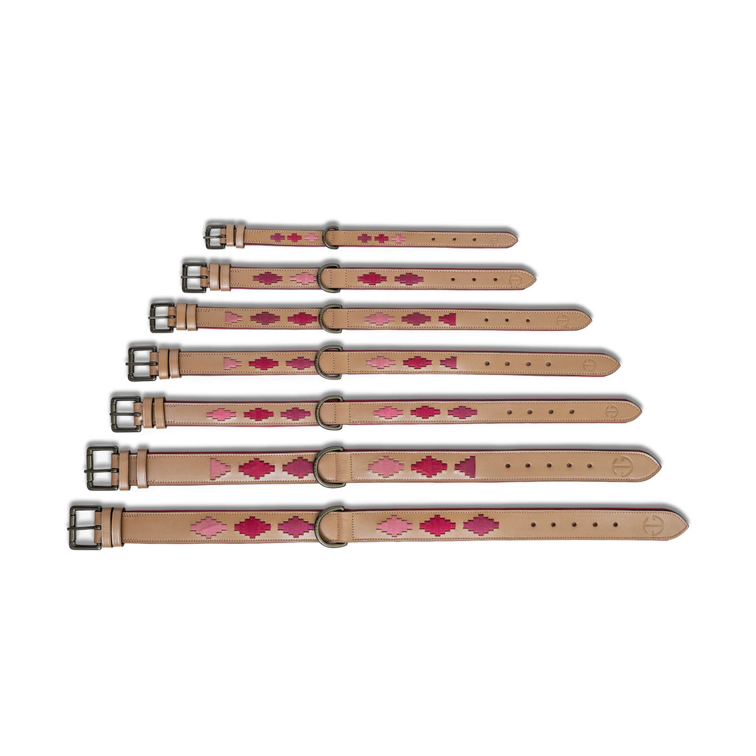 Halter Ego Rosé Lumière Leather Dog Collar shown in every size, XS to 3XL