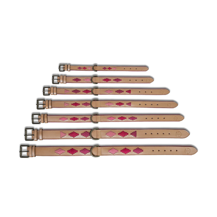 Halter Ego Rosé Lumière Leather Dog Collar shown in every size, XS to 3XL