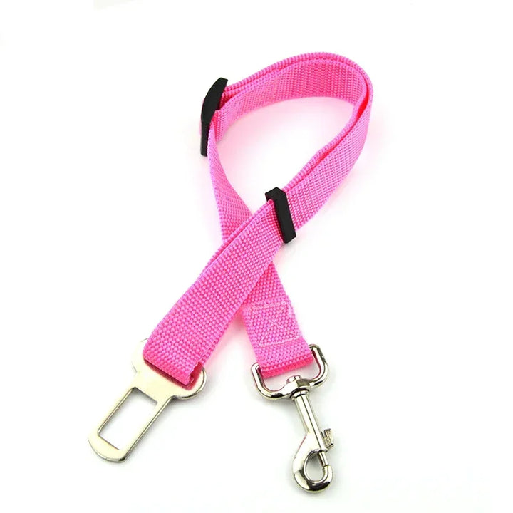 Pink plain-webbing tether