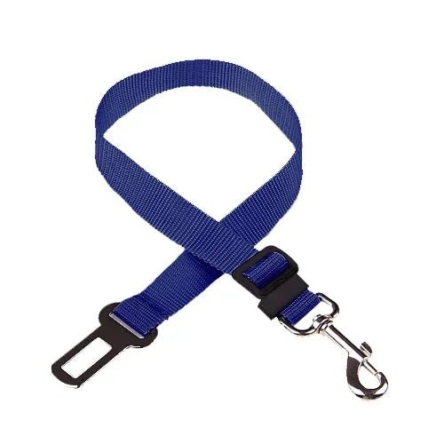 Blue plain-webbing tether