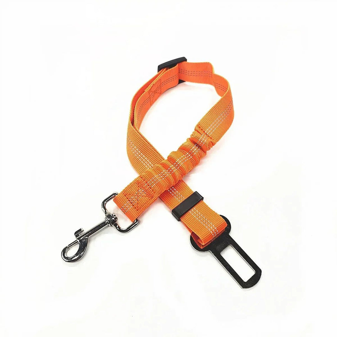 Orange elastic-section tether