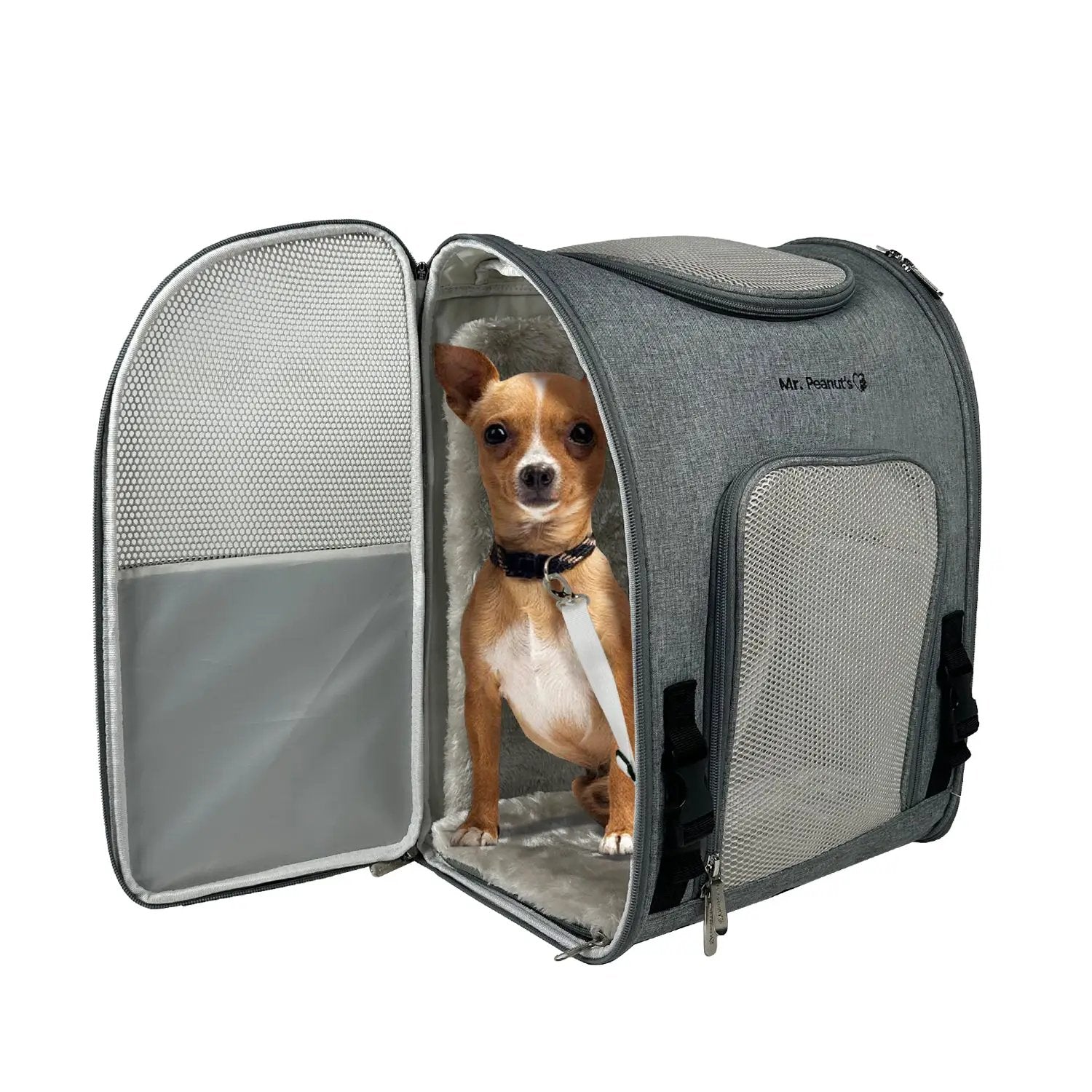 Mr. Peanut's Aspen Series airline-compliant backpack pet carrier in gray with mesh panels, dog inside