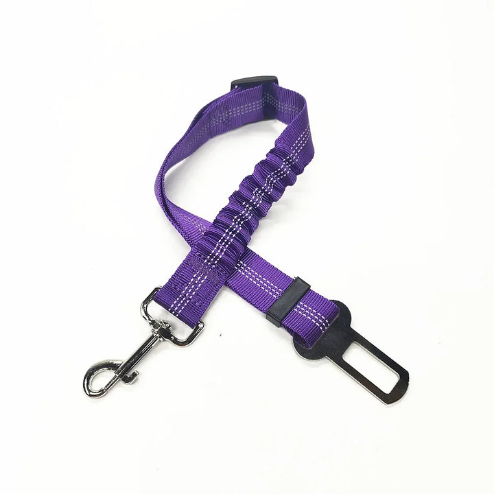 Purple elastic-section tether