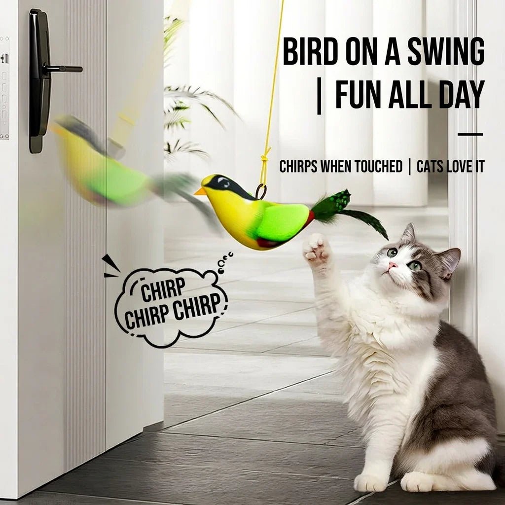 Cat reaching for hanging bird