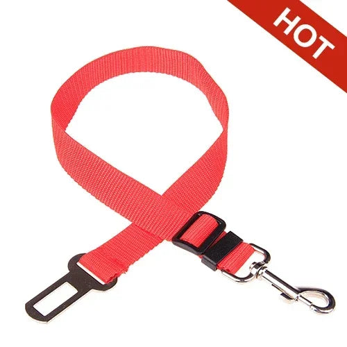 Red plain-webbing tether