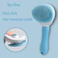 Load image into Gallery viewer, Pet Dog Hair Brush & Cat Comb by Whisker House, Sky Blue, one-click hair removal
