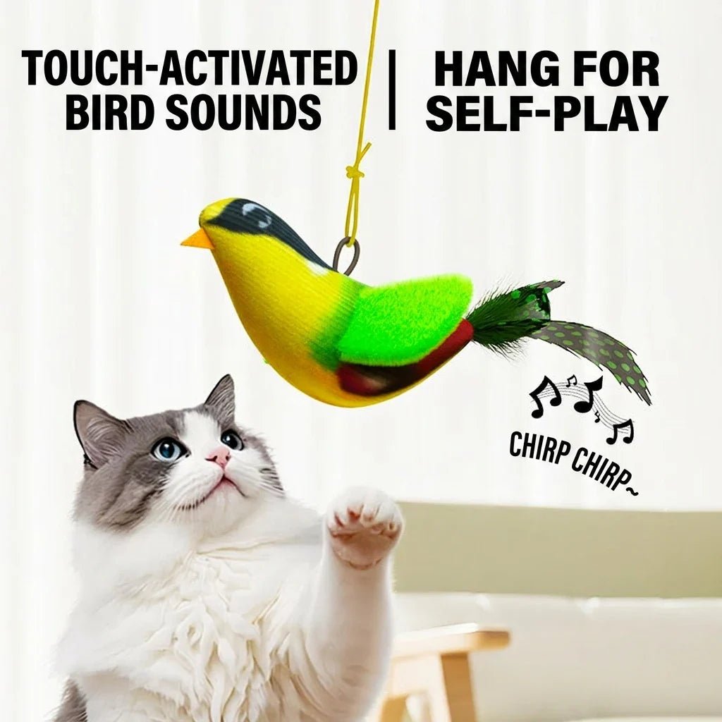 Green hanging bird with sound illustration